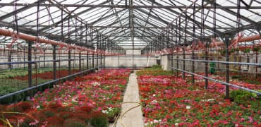 Lalbagh Botanical Garden