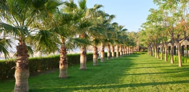 King Khalid Park and Garden