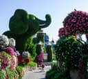 Dubai Miracle Garden