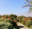 Los Angeles County Arboretum