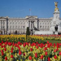 Buckingham Palace